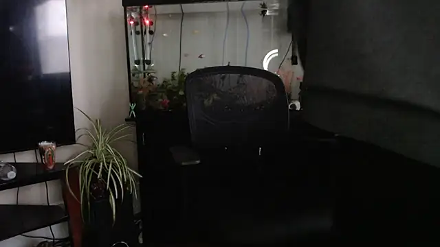 EspanolVato 即時 XXX 聊天