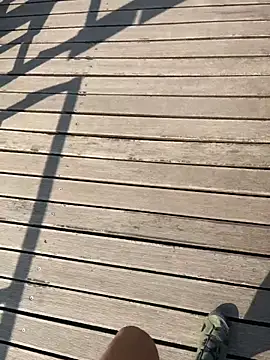 Pertunjukan Kamera Web sunbe