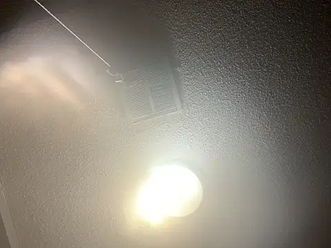 Show de webcam de matte36_