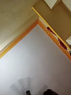 NishaNayakTelugu's Live XXX Chat