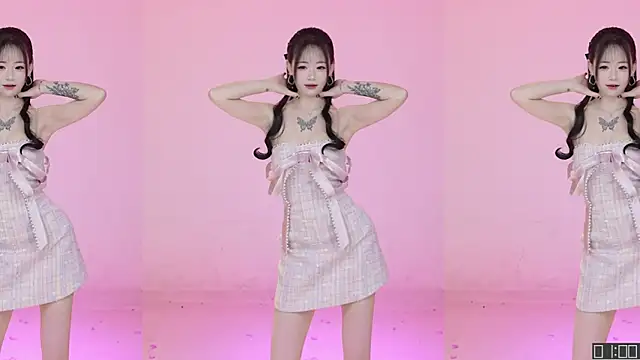 Pertunjukan Kamera Web ATY1314