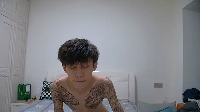 Show webcam de paofu-001