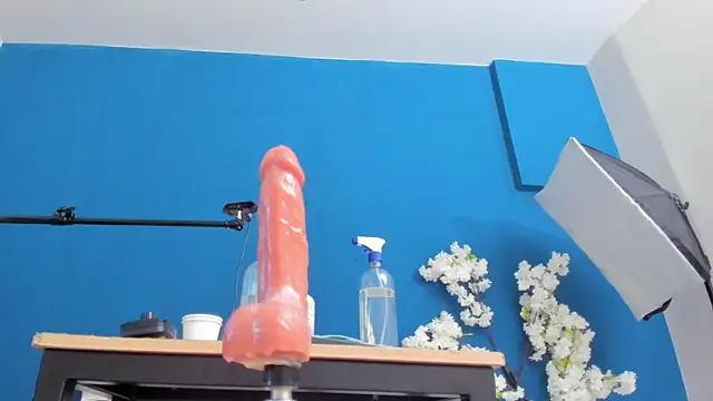 Chat XXX ao vivo de letty_straus