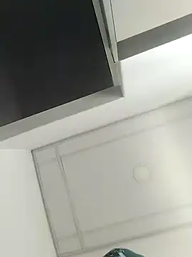 Show webcam de Rasdick