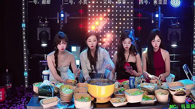 S5-55S 网络视讯表演