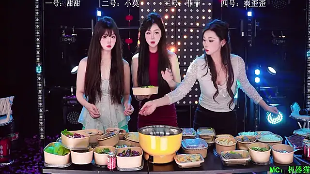 Show de webcam de S5-55S