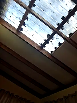 Blackforest10: вебкам-шоу