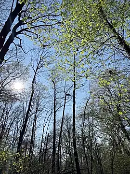 AnastasiaAniess Chat XXX live