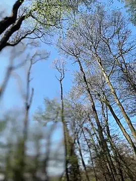 AnastasiaAniess' Webcam Show