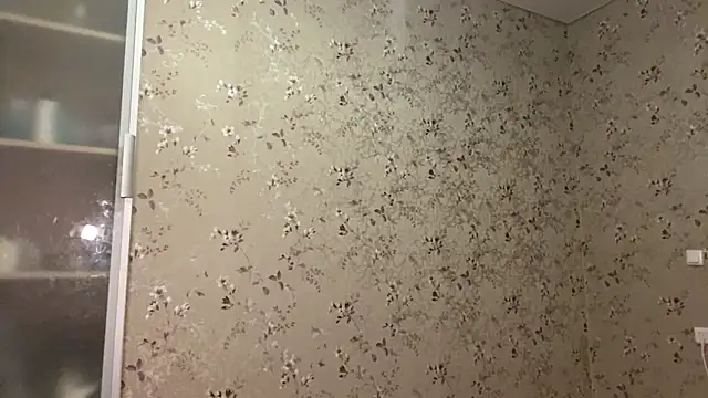 Dinadreamのウェブカメラショー