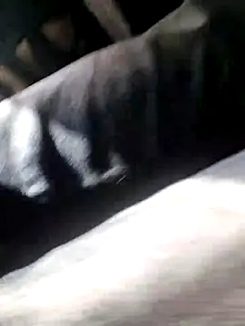 donchico0 Chat XXX in diretta