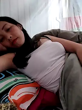 Sinejdk3 Show Webcam