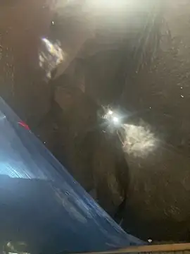 Dave_5518's Webcam Show