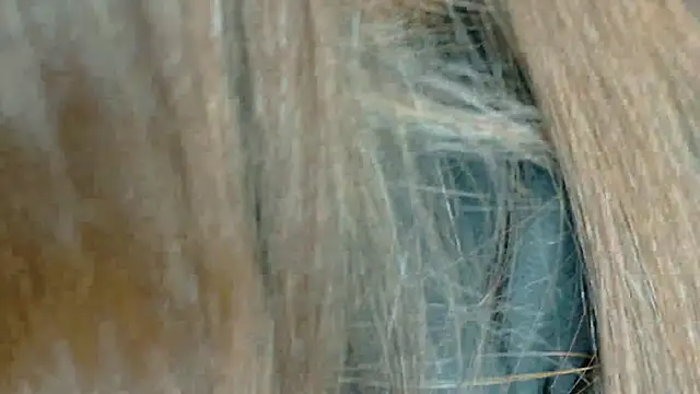 Juanita_owens 现场XXX聊天