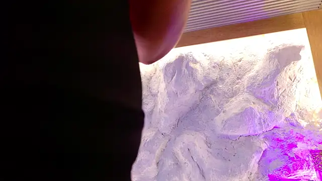 Czat XXX na żywo – danna_dusky