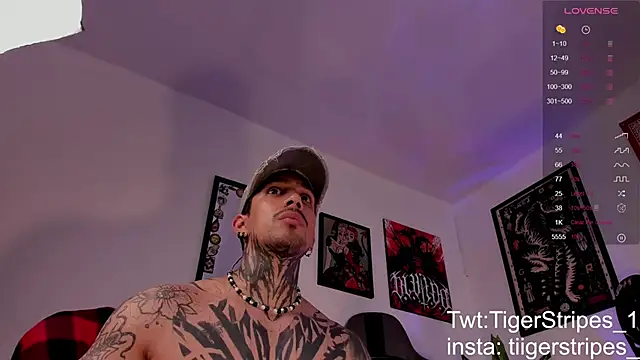 TigerStripes1_ Chat XXX live