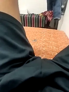 Roy3_2 Pertunjukan Webcam