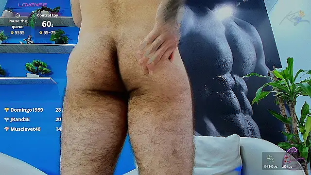 Haraldsmedのウェブカメラショー