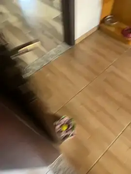 Show de webcam de jeanramon01