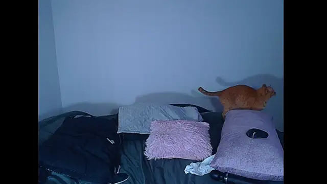 Chatroom XXX en direct de NayaraD