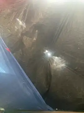 Онлайн чат XXX Dave_5518