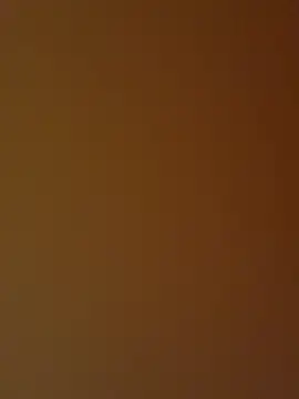 Show modela boy88fun na web-kameri