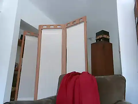 TheGirlWhoStandsUpのライブXXXチャット