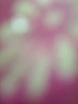 Živý XXX chat Nandani-758