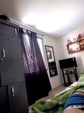 TheWilly Webcam show