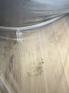 Forida-ciea Obrolan Langsung XXX