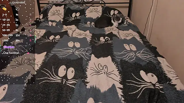 แชท XXX สดของ eva_zero