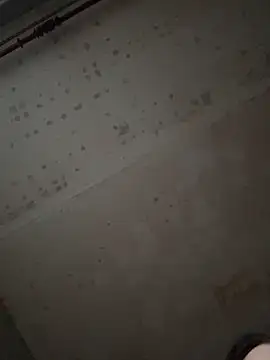 Webkamerová show MishellKins