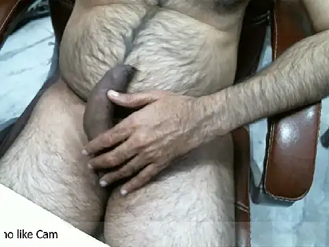 Show webcam de desioldguy