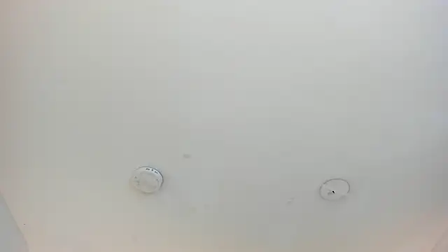 cellestehotn Live XXX chat