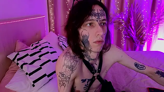 Show modela swagamee na web-kameri