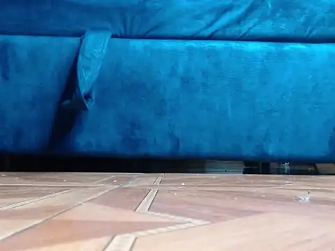 โชว์เว็บแคมของ alphaswitchard