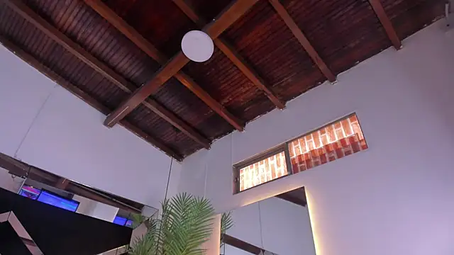 Chat +18 de emily-fox ao vivo