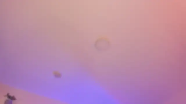 YariRose Live XXX-chat