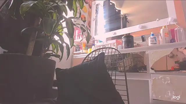 incognimeow 라이브 XXX 채팅