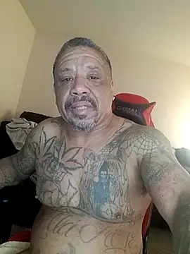 Show webcam de yellowwetfox