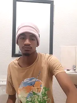 Show de gemini_loops na webcam