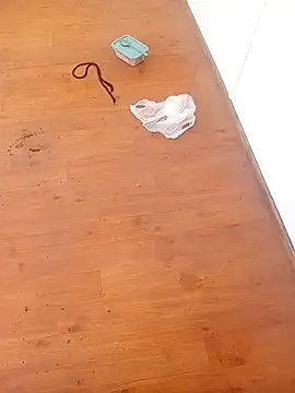 pervertidonegro Webcam Show