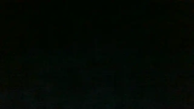 Show webcam de Chichoplus1