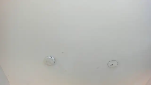 cellestehot Obrolan Langsung XXX