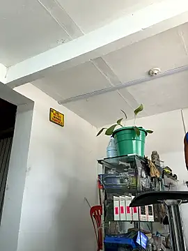 Paul22cm- Chat XXX live