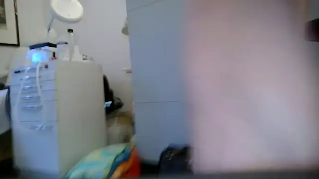 Hansengean Webbikameraesitys