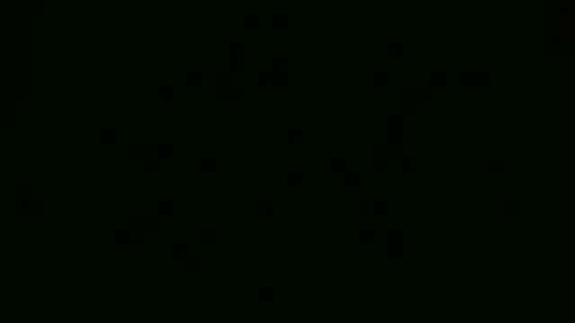 Pertunjukan Kamera Web Sxrry