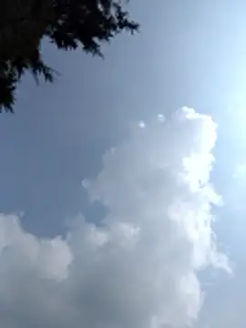 MAFE__29 Chat XXX in diretta