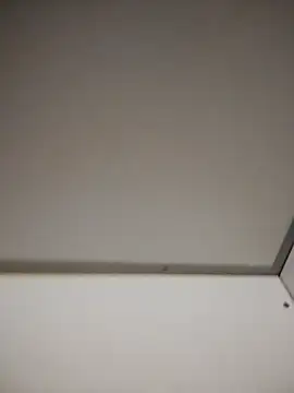 cazzogiovane19 Webcamshow