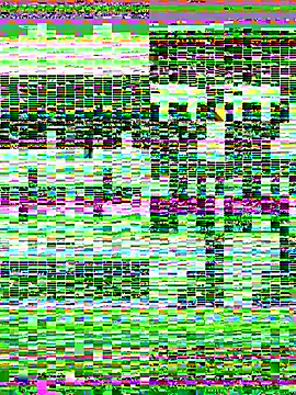 Show de georgiag na webcam